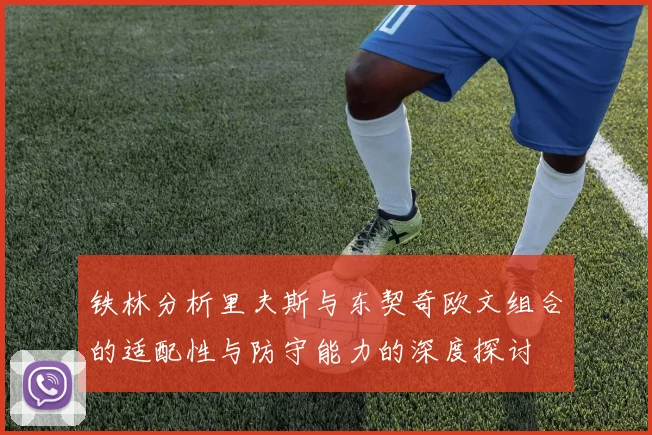 铁林分析里夫斯与东契奇欧文组合的适配性与防守能力的深度探讨