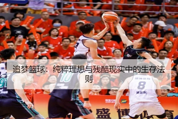 追梦篮球：纯粹理想与残酷现实中的生存法则